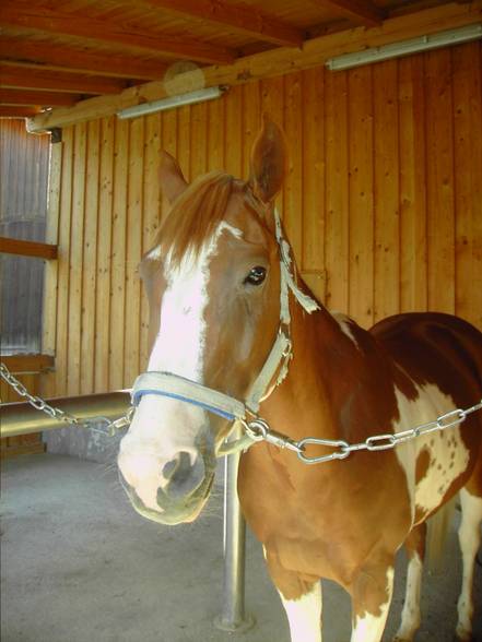 Westernstable Lindlmayr - 