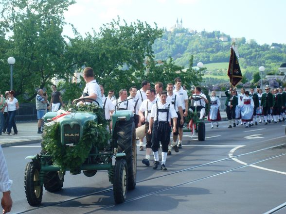 Maibaum auslösen Linz 08 - 