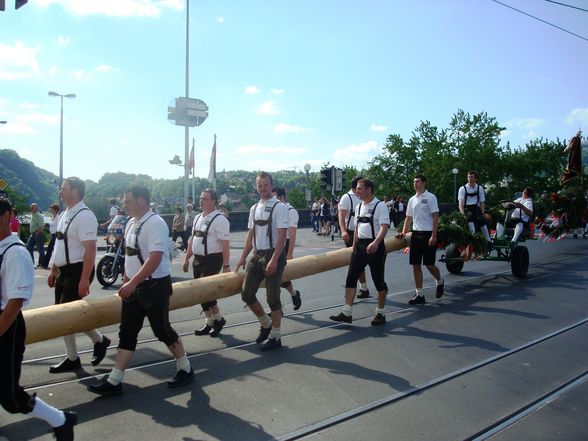 Maibaum auslösen Linz 08 - 