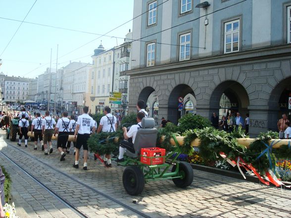 Maibaum auslösen Linz 08 - 