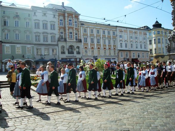 Maibaum auslösen Linz 08 - 