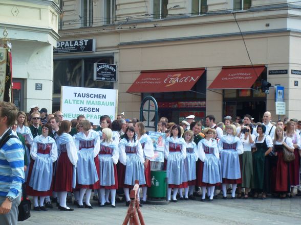 Maibaum auslösen Linz 08 - 