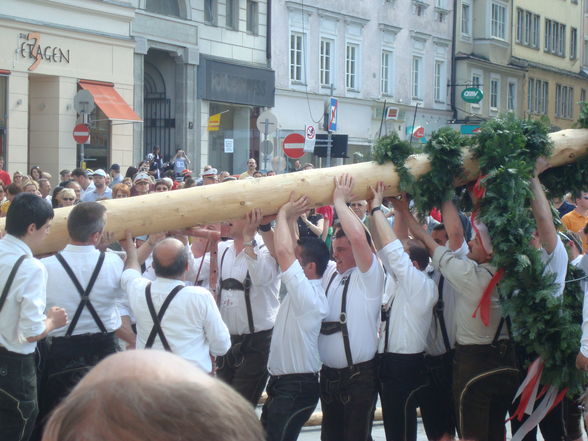 Maibaum auslösen Linz 08 - 