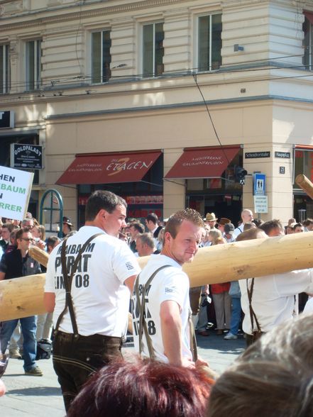 Maibaum auslösen Linz 08 - 