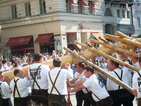 Maibaum auslösen Linz 08 - 