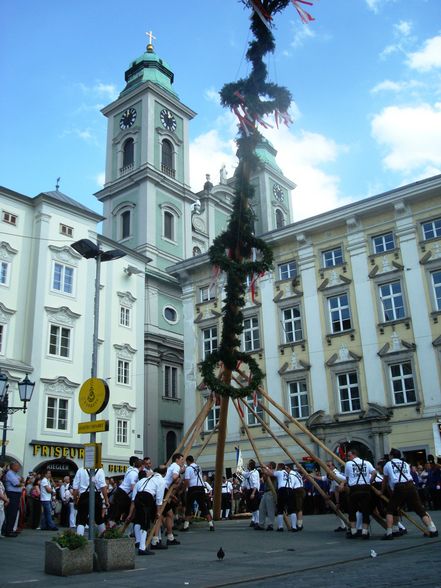 Maibaum auslösen Linz 08 - 