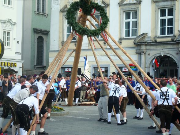 Maibaum auslösen Linz 08 - 