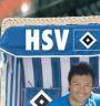 HSV - 