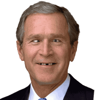 GEORGE WALKER BUSH - 