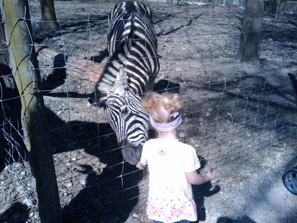 tierpark haag :) - 