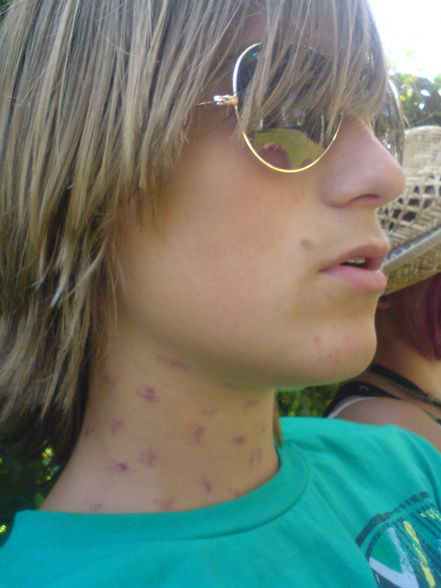 sommer 08 - 