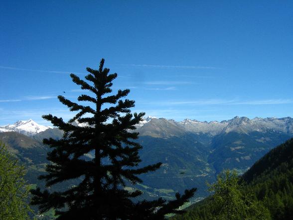 ..und hier bin ich wider in Kärnten - 