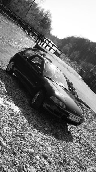 mein Civic - 