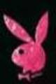 markensachen - 