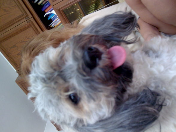 MEIN KLEINER SCHATZ - 