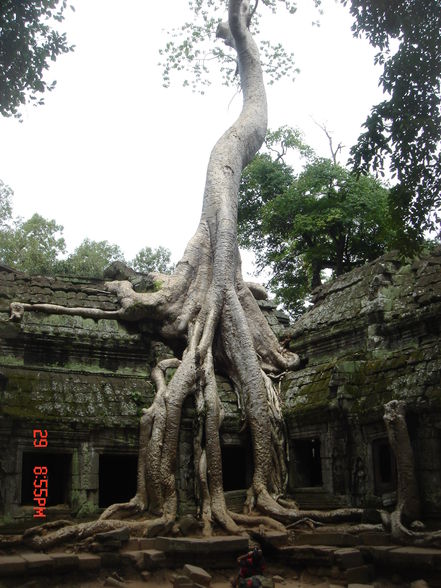 Cambodia 2008 - 