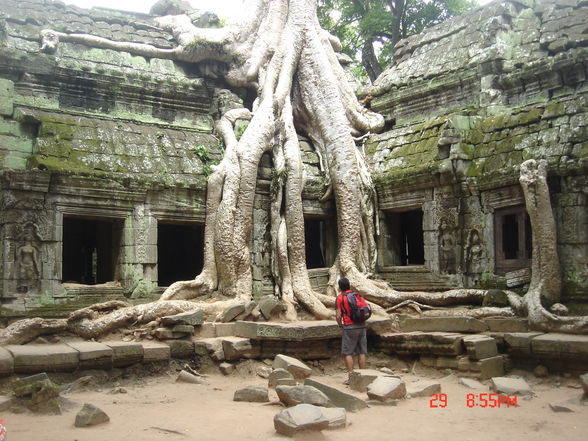 Cambodia 2008 - 