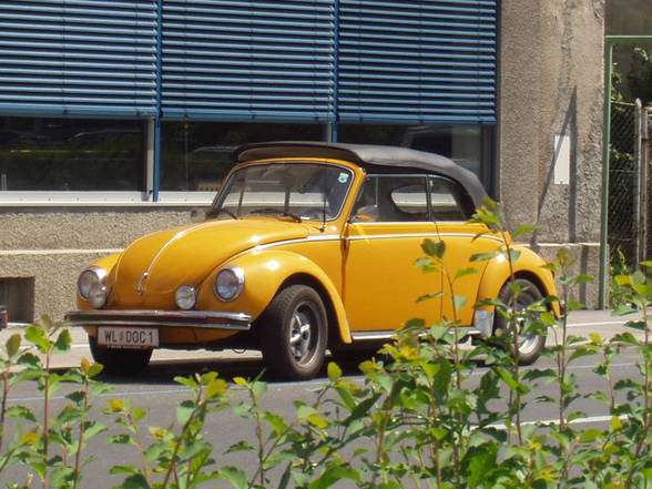 Vw Käferleins - 