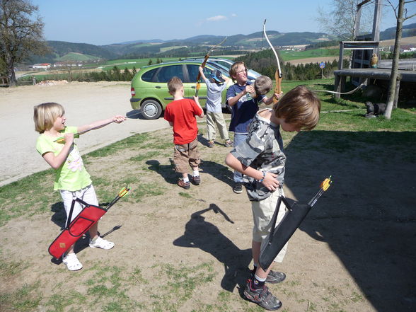 Bogenschießen in Pregarten - 