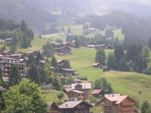  3 Monate Praktikum in Wengen/CH 2oo8 - 