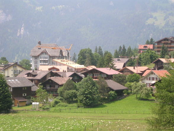  3 Monate Praktikum in Wengen/CH 2oo8 - 