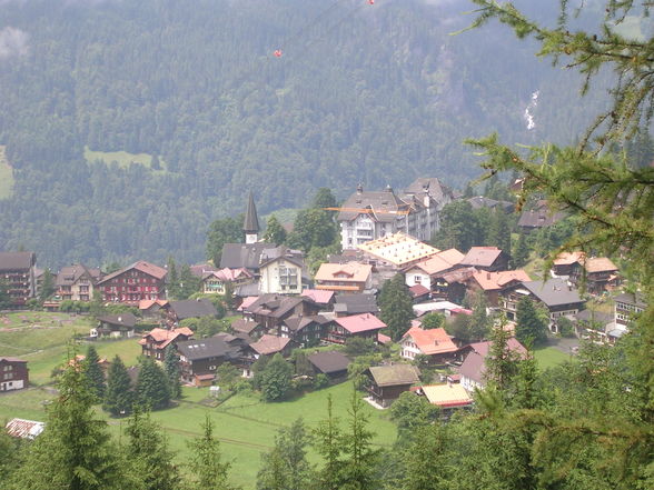  3 Monate Praktikum in Wengen/CH 2oo8 - 