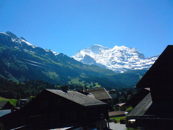  3 Monate Praktikum in Wengen/CH 2oo8 - 