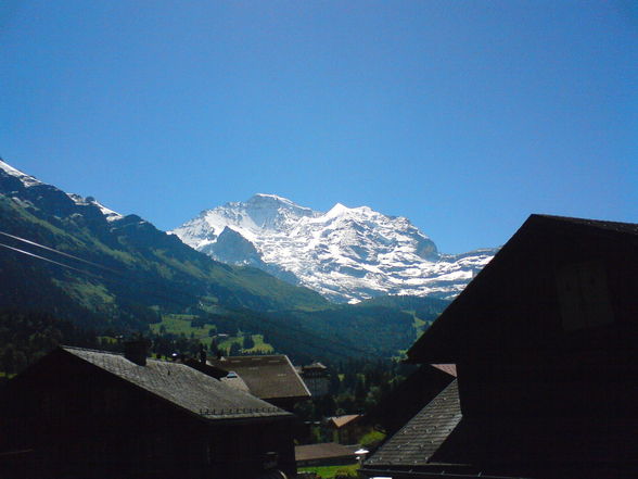  3 Monate Praktikum in Wengen/CH 2oo8 - 