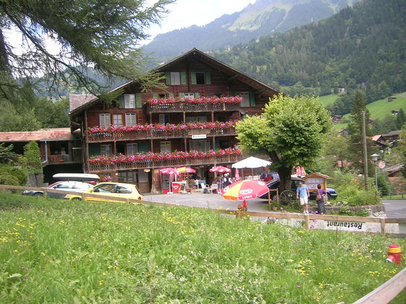  3 Monate Praktikum in Wengen/CH 2oo8 - 