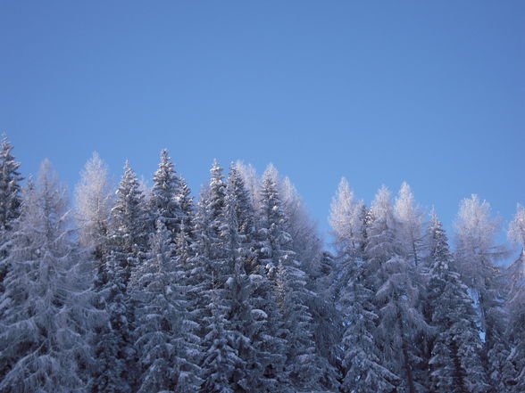 Winter 08/09 - 