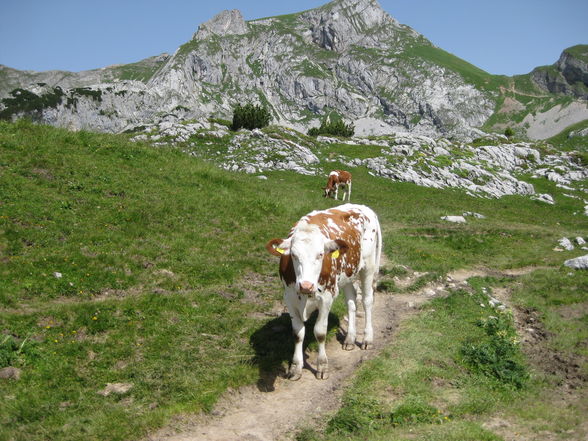 Tommi on tour/Urlaub Juli 2009 - 