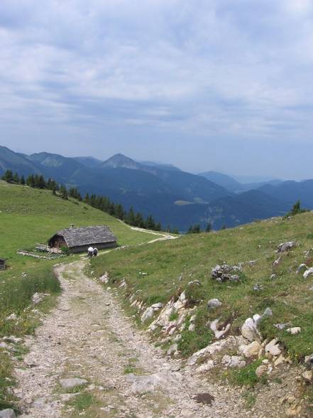 Schafberg St. Wolfgang 2006 - 