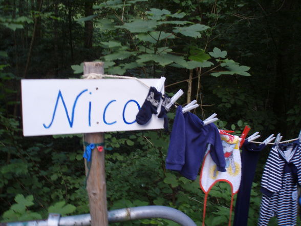 "ZwErG nIcO iSt Da...!!!" - 