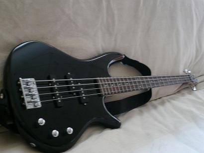 Meine Bass Gitarre - 