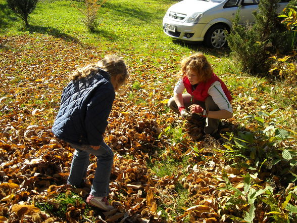 Herbstlicher Samstag - 