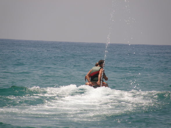 ALanYa 2008 - 