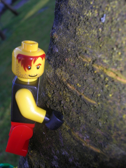 LEGO in der freien Wildbahn - 