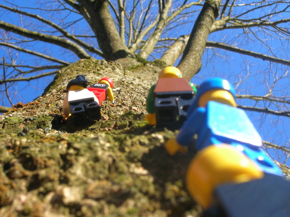 LEGO in der freien Wildbahn - 