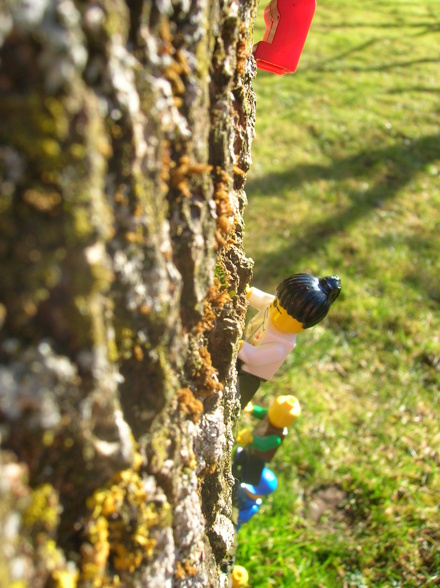 LEGO in der freien Wildbahn - 