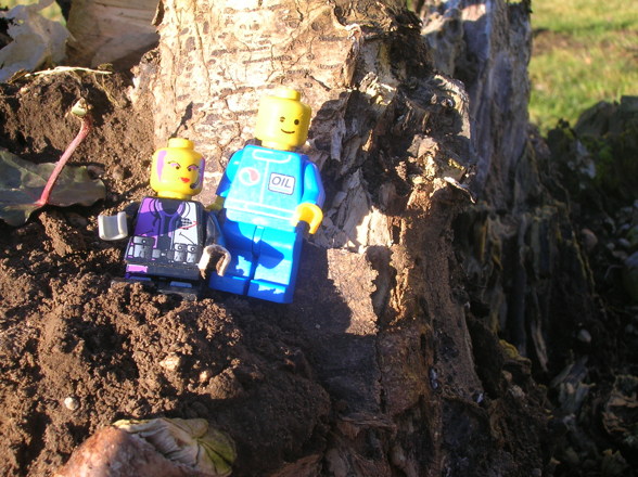 LEGO in der freien Wildbahn - 