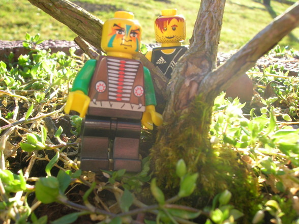 LEGO in der freien Wildbahn - 