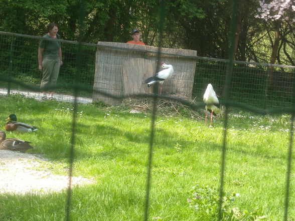 ~ Tierpark Schmieding u Wels 2009 ~ - 