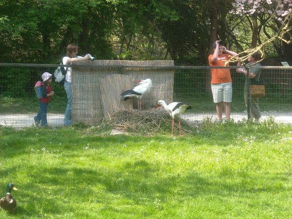 ~ Tierpark Schmieding u Wels 2009 ~ - 