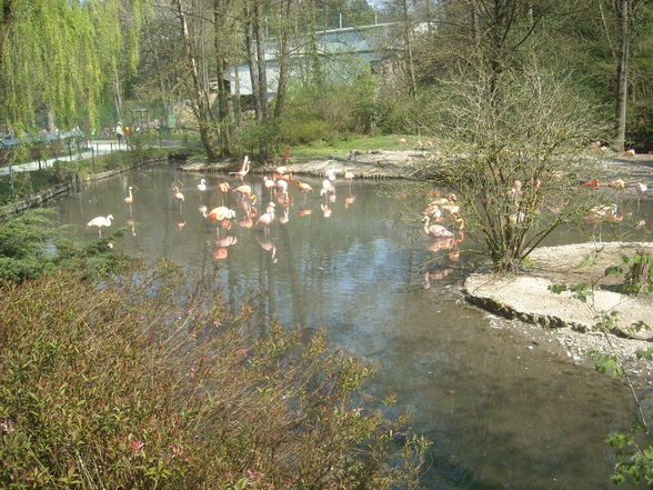 ~ Tierpark Schmieding u Wels 2009 ~ - 