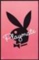 Playboy - 