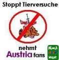 scheiss austria wien - 