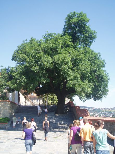 2008.07.12 Städtereise Bratislava - 