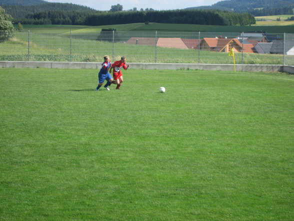 Ortstunier 2007 - 