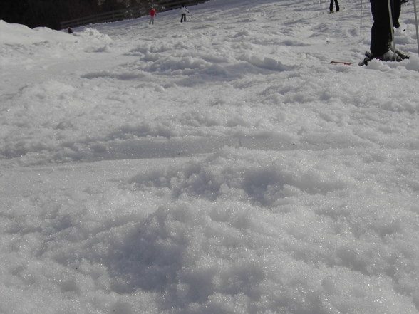 Skifahren Saalbach 2008 - 