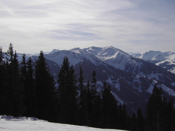 Skifahren Saalbach 2008 - 